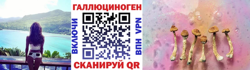 Галлюциногенные грибы Psilocybine cubensis  МЕГА маркетплейс  Вилючинск  купить закладку 